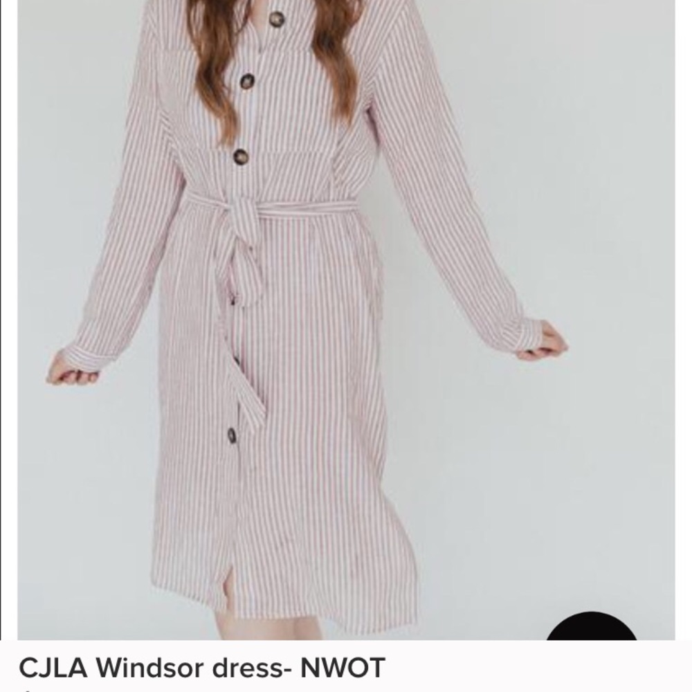 Carly Jean Los Angeles Windsor Dress CJLA Large